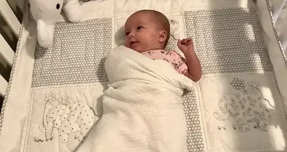 How to Create a Charming Baby Quilt with Animal Embroidery